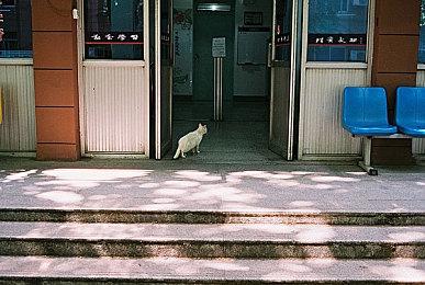 《黑相集：心中魔》公开杰西巴克利动捕采访视频