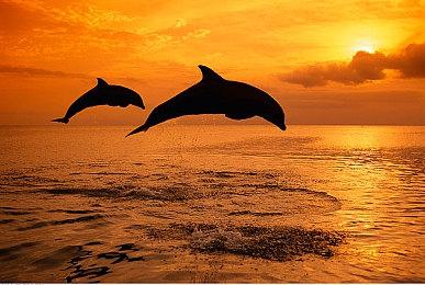 逃出炼狱完成复仇 策略RPG戏新作《残酷乐团》发售