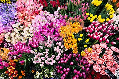 《主播女孩重度依赖》Steam发布大型更新 追加新功能“直播生成器”