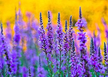 外媒评选2022年好玩的PS5游戏 《战神》获最佳